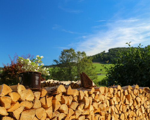 Appartement Bergblick (Bernau im Schwarzwald) Appartement Bergblick (Bernau im Schwarzwald)