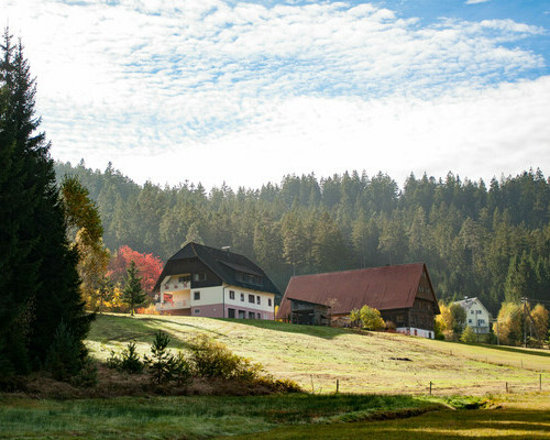 Bio-Hof Buchholz (Lauterbach-Sulzbach) Bio-Hof Buchholz (Lauterbach-Sulzbach)