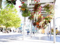 Copyright Tourismus Rheinfelden &lpar;Baden&rpar;