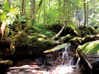 (Bildnachweis: Mit freundlicher Genehmigung der Kurverwaltung Bad Liebenzell GmbH) (Bildnachweis: Mit freundlicher Genehmigung der Kurverwaltung Bad Liebenzell GmbH)