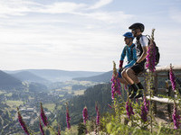 Natur, Mountainbike, Walterhütte (Bildnachweis: Ulrike Klumpp) Natur, Mountainbike, Walterhütte (Bildnachweis: Ulrike Klumpp)