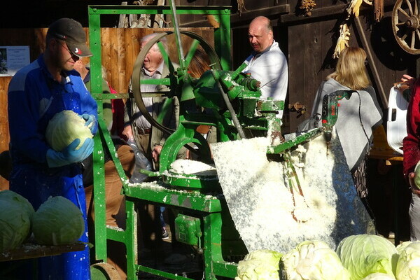 Krautschneiden Copyright: (Mit freundlicher Genehmigung des AHK Keltern und deren Fotographen) Krautschneiden Copyright: (Mit freundlicher Genehmigung des AHK Keltern und deren Fotographen)