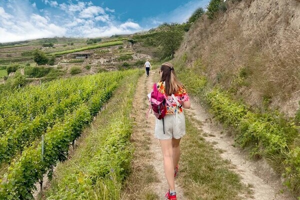 Kinder Abenteuer Escape - Buch der 7 Siegel Bildnachweis: Mit freundlicher Genehmigung von We-Escape Kinder Abenteuer Escape - Buch der 7 Siegel Bildnachweis: Mit freundlicher Genehmigung von We-Escape