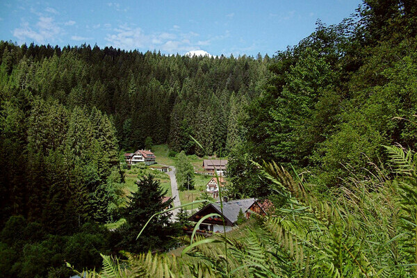 Landschaft Schorrental Bildnachweis: Mit freundlicher Genehmigung der Gemeinde Seewald