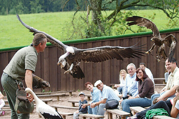 Bildnachweis: Mit freundlicher Genehmigung des Vogelpark Steinen Bildnachweis: Mit freundlicher Genehmigung des Vogelpark Steinen
