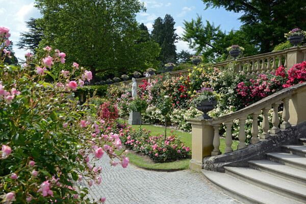 Rosengarten Bildnachweis: © Mainau GmbH Rosengarten Bildnachweis: © Mainau GmbH