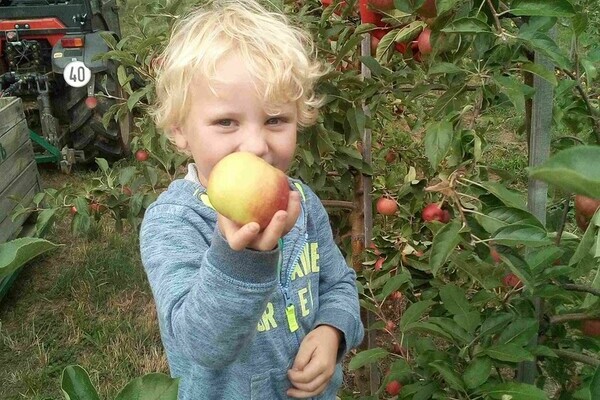 Obsthof Drechsle Bildnachweis: Obsthof Drechsle