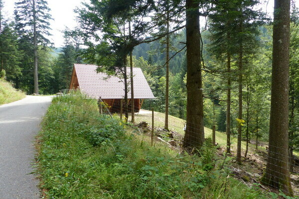 Wildgehege Tonbach Bildnachweis: Mit freundlicher Genehmigung von Baiersbronn Touristik Wildgehege Tonbach Bildnachweis: Mit freundlicher Genehmigung von Baiersbronn Touristik