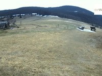 derWaldfrieden derWaldfrieden